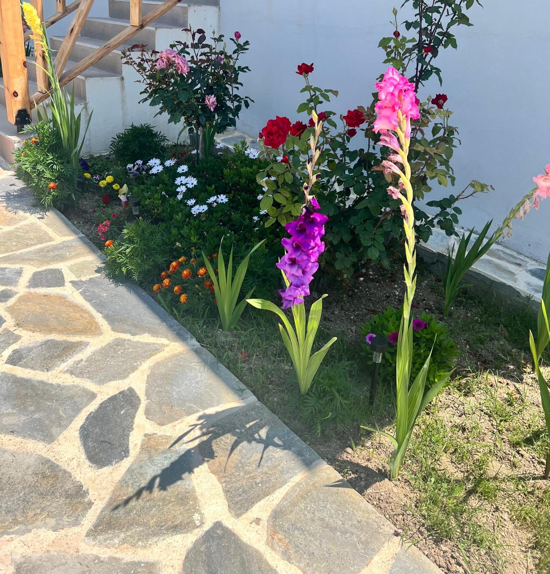 Beachfront Villa Athina Vergia Exterior photo